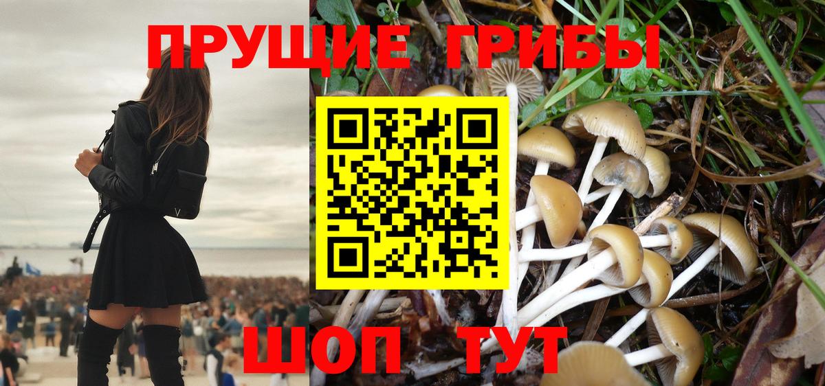 Ачинск  Псилоцибиновые грибы мухоморы  Вход с VPN 